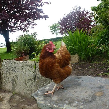 Kidwelly Farmhouse B&B Εξωτερικό φωτογραφία